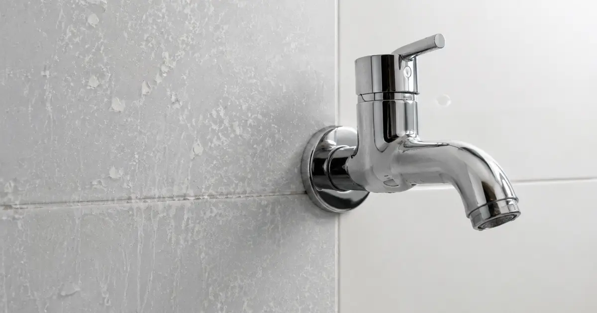 Illustrazione editoriale per calcare e acqua dura